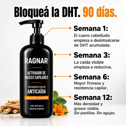 Sistema Activador de Raíces